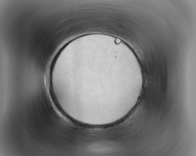 X0000086901515200705141632