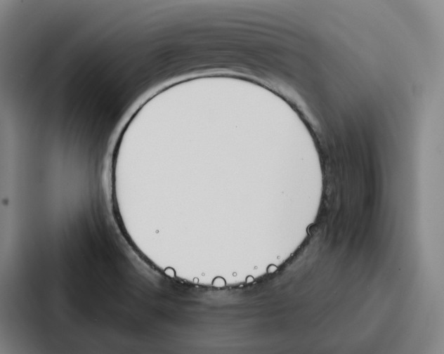 X0000086901516200705141632