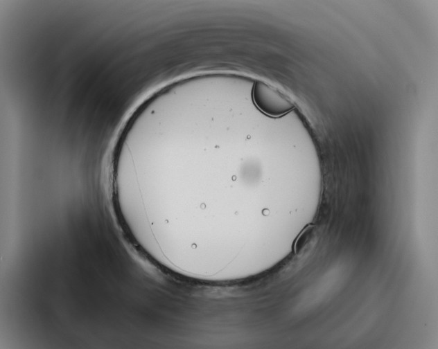 X0000086901519200705141632