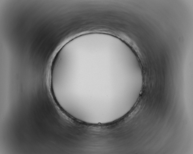 X0000086901520200705141632