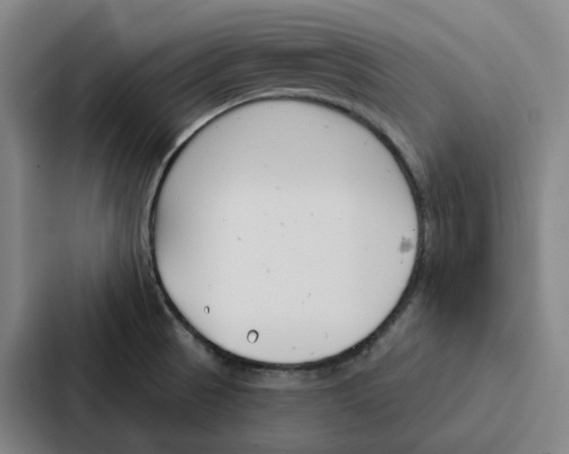 X0000086901521200705141632