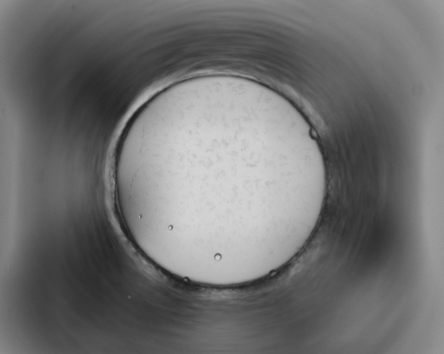 X0000086901522200705141632