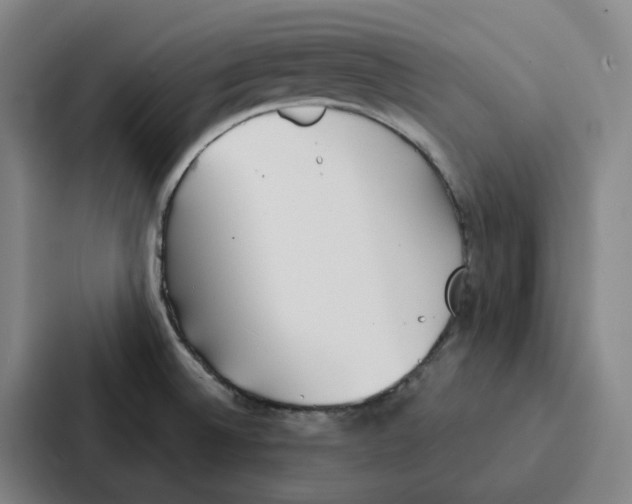 X0000086901524200705141632