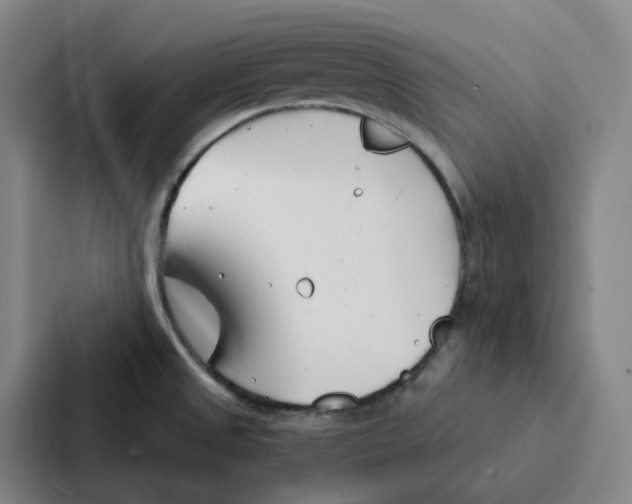 X0000086901525200705141632