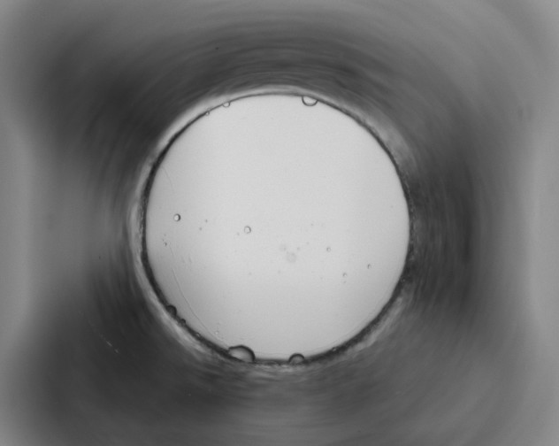 X0000086901526200705141632