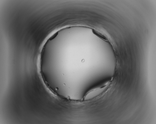 X0000086901528200705141632