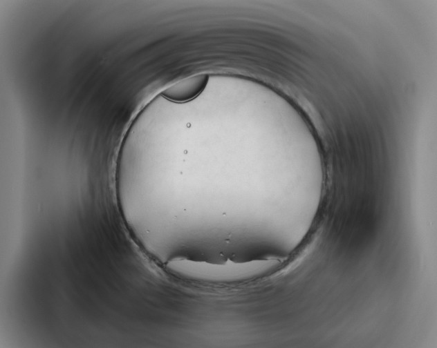 X0000086901529200705141632