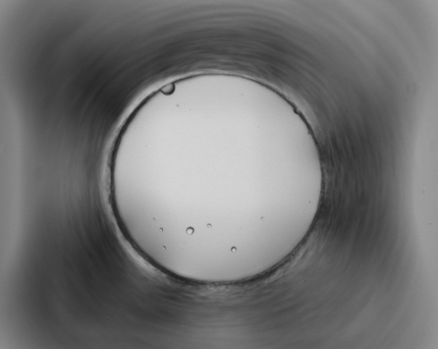 X0000086901531200705141632