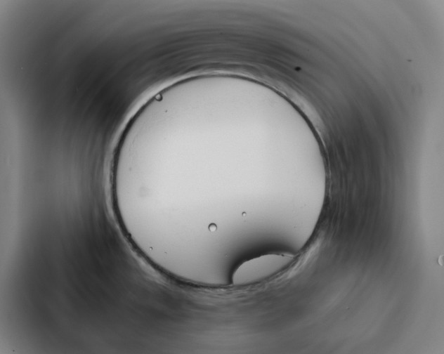 X0000086901533200705141632