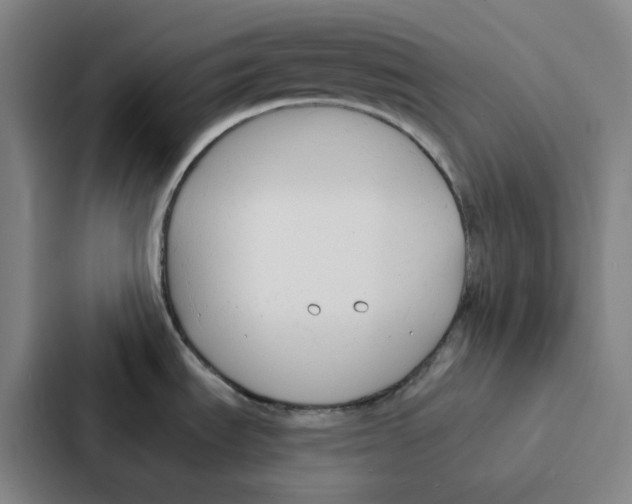 X0000086901535200705141632