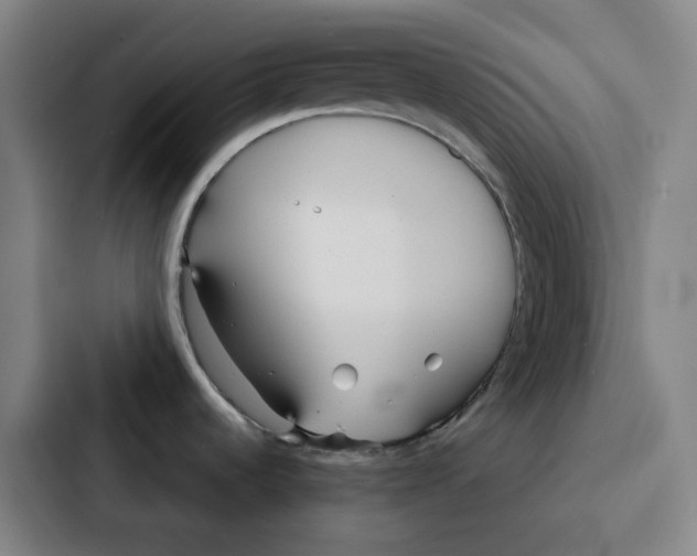 X0000086901536200705141632