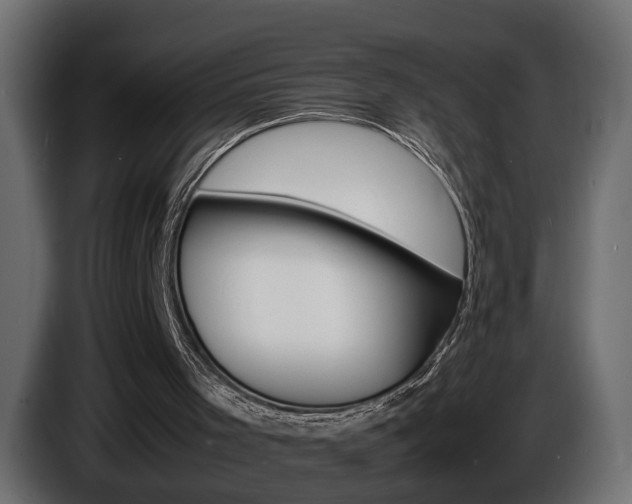 X0000086910001200704161019