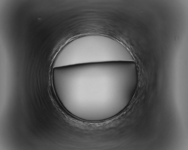 X0000086910002200704161019