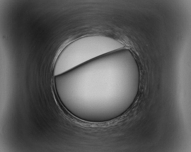 X0000086910003200704161019