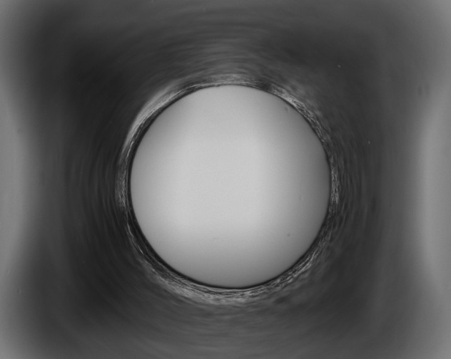 X0000086910004200704161019