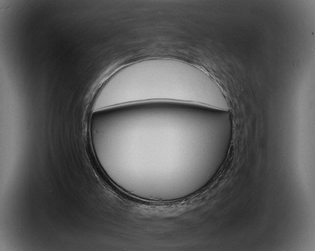 X0000086910005200704161019