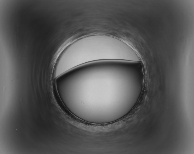X0000086910007200704161019