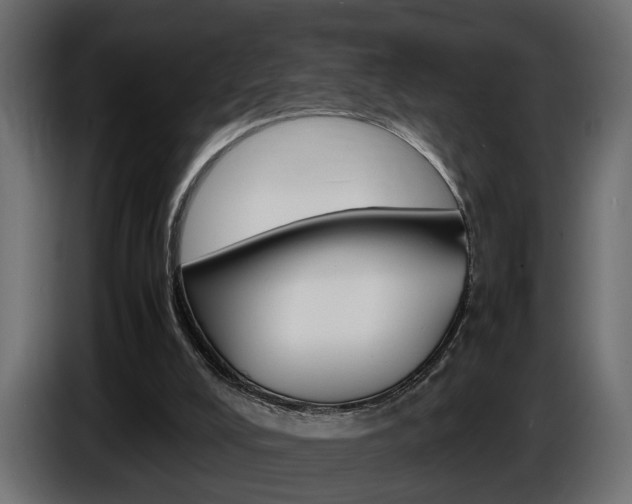 X0000086910008200704161019