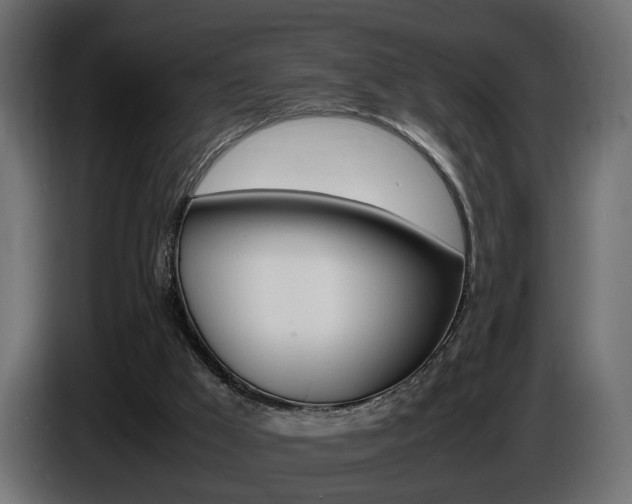 X0000086910009200704161019