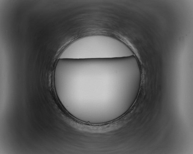 X0000086910010200704161019