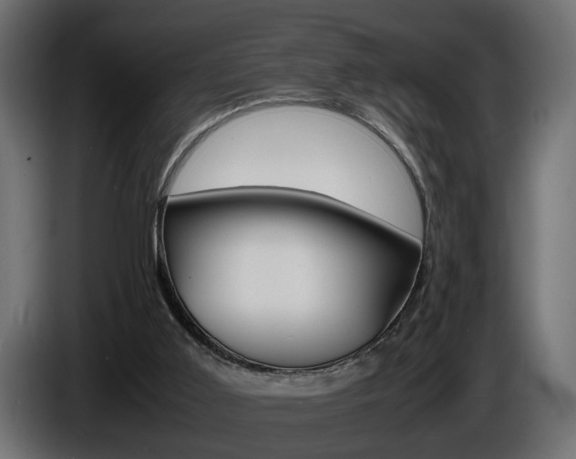 X0000086910011200704161019