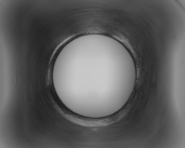 X0000086910012200704161019
