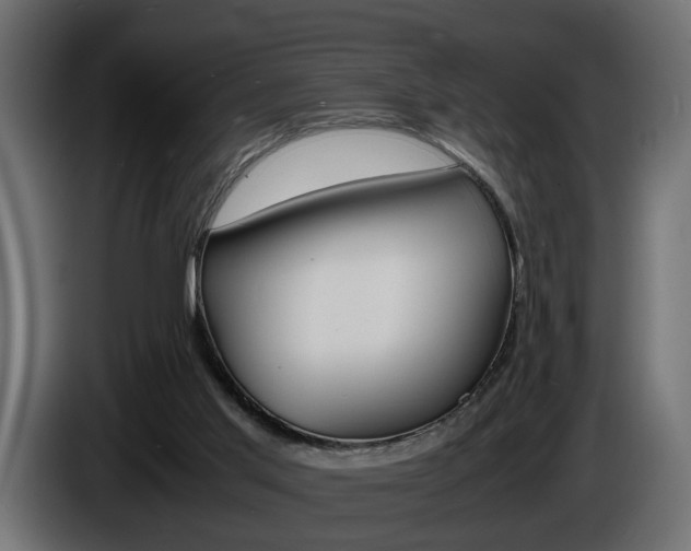 X0000086910013200704161019