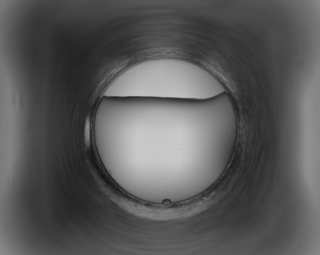 X0000086910014200704161019