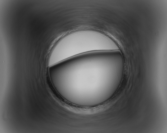 X0000086910015200704161019