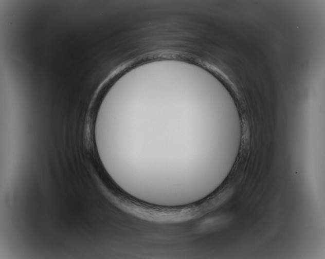 X0000086910016200704161019