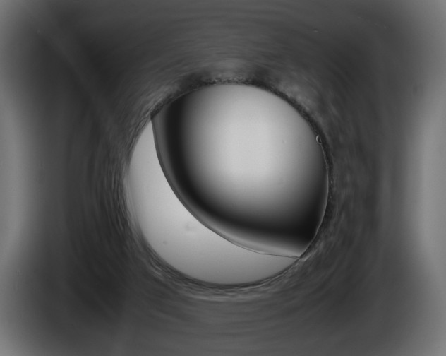 X0000086910017200704161019