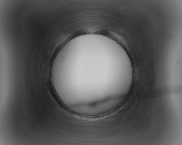 X0000086910018200704161019