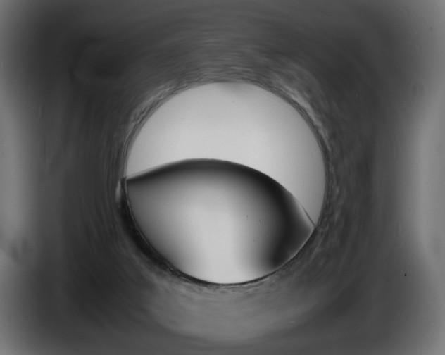 X0000086910019200704161019