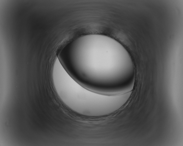 X0000086910021200704161019