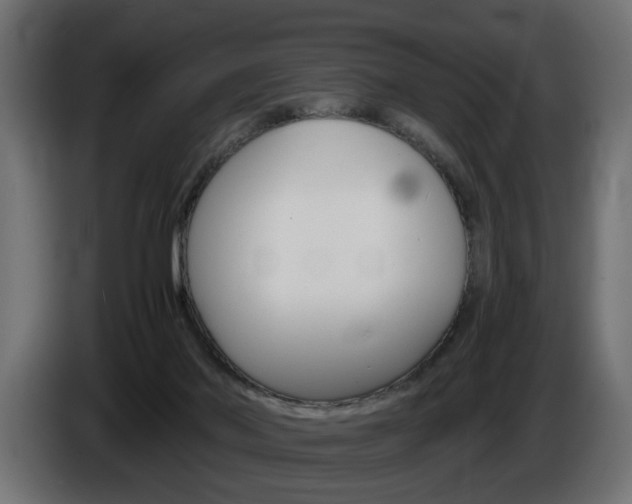 X0000086910022200704161019