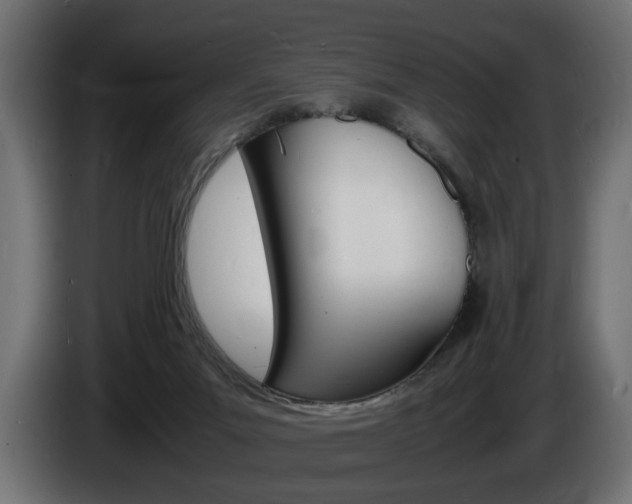 X0000086910023200704161019