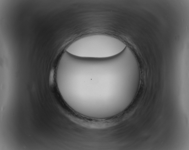 X0000086910024200704161019