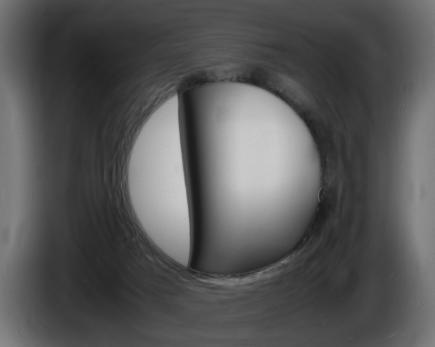 X0000086910025200704161019