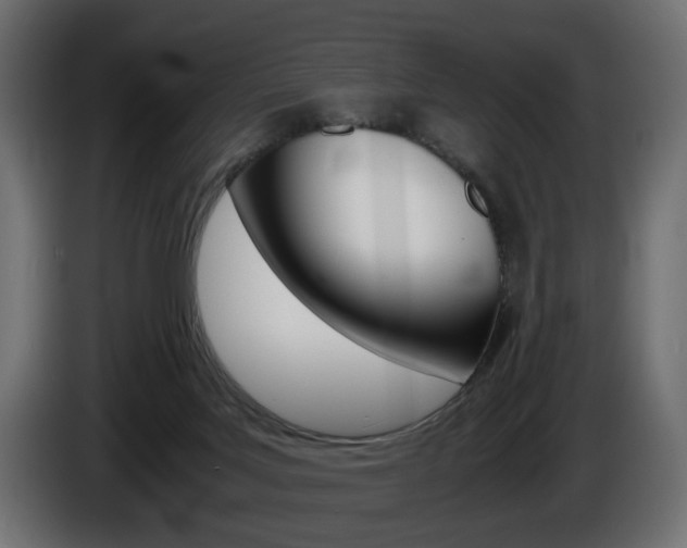 X0000086910027200704161019