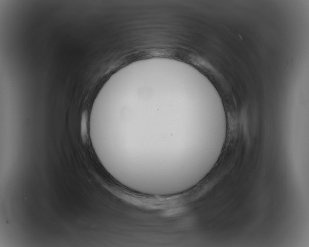 X0000086910028200704161019