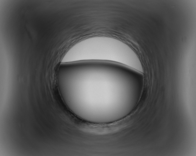 X0000086910029200704161019