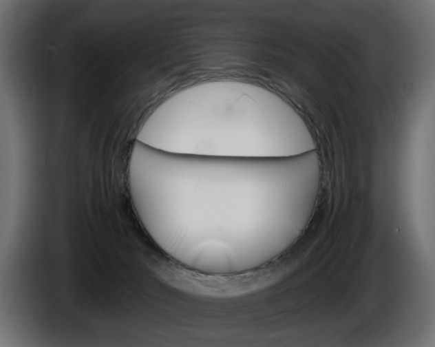 X0000086910030200704161019
