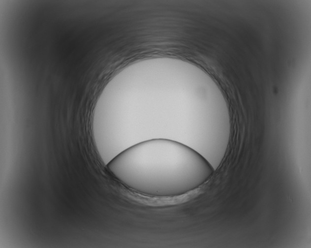 X0000086910031200704161019