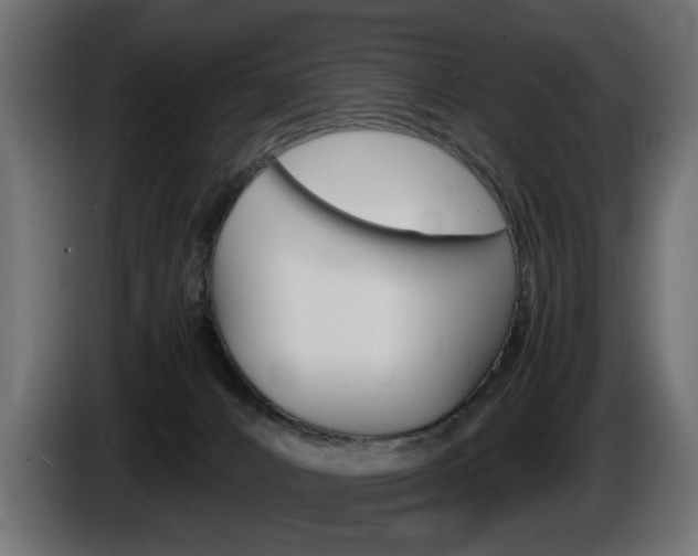X0000086910032200704161019