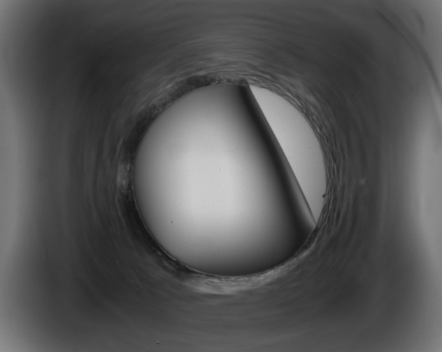X0000086910033200704161019