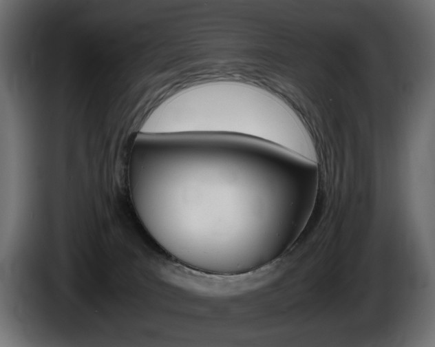 X0000086910035200704161019