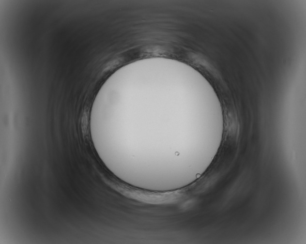 X0000086910036200704161019