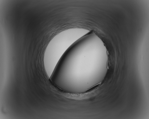 X0000086910037200704161019