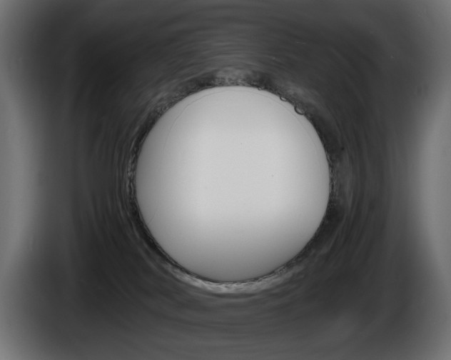 X0000086910038200704161019