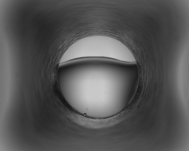X0000086910039200704161019